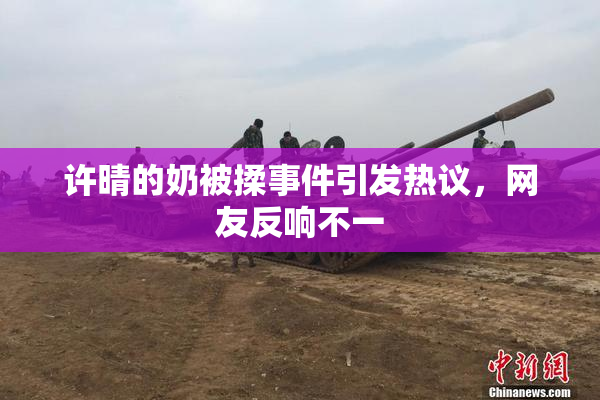 许晴的奶被揉事件引发热议，网友反响不一
