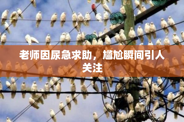 老师因尿急求助，尴尬瞬间引人关注