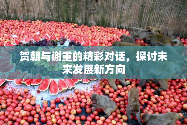 贺朝与谢重的精彩对话，探讨未来发展新方向