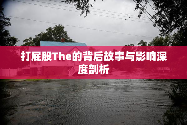 打屁股The的背后故事与影响深度剖析