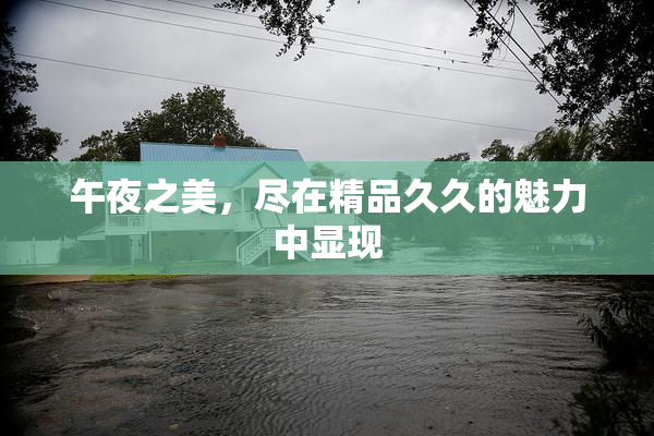 午夜之美，尽在精品久久的魅力中显现