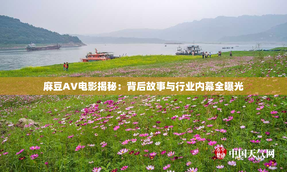 麻豆AV电影揭秘：背后故事与行业内幕全曝光