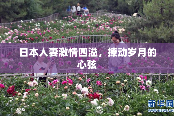 日本人妻激情四溢，撩动岁月的心弦
