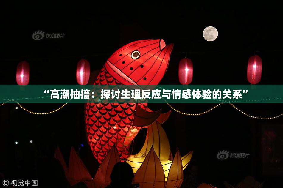 “高潮抽搐：探讨生理反应与情感体验的关系”