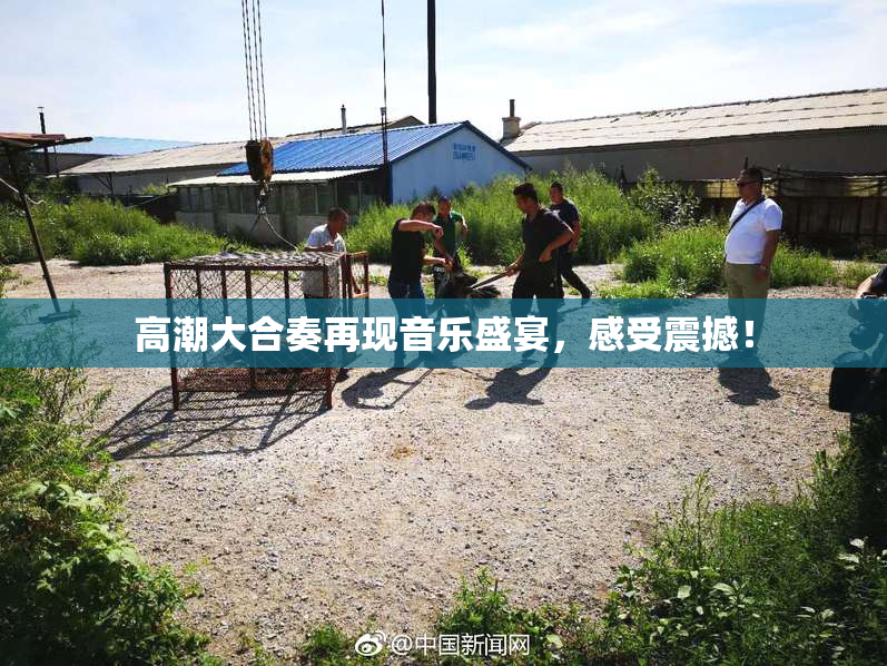 高潮大合奏再现音乐盛宴，感受震撼！