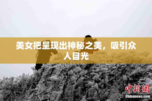 美女把呈现出神秘之美，吸引众人目光