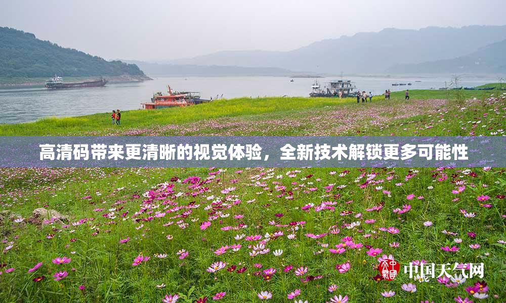 高清码带来更清晰的视觉体验，全新技术解锁更多可能性