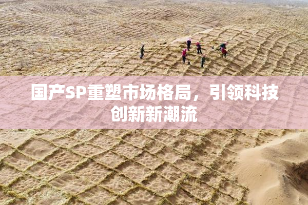 国产SP重塑市场格局，引领科技创新新潮流
