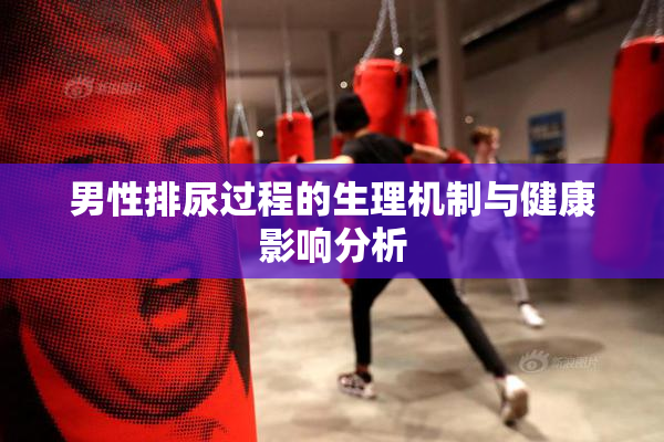 男性排尿过程的生理机制与健康影响分析