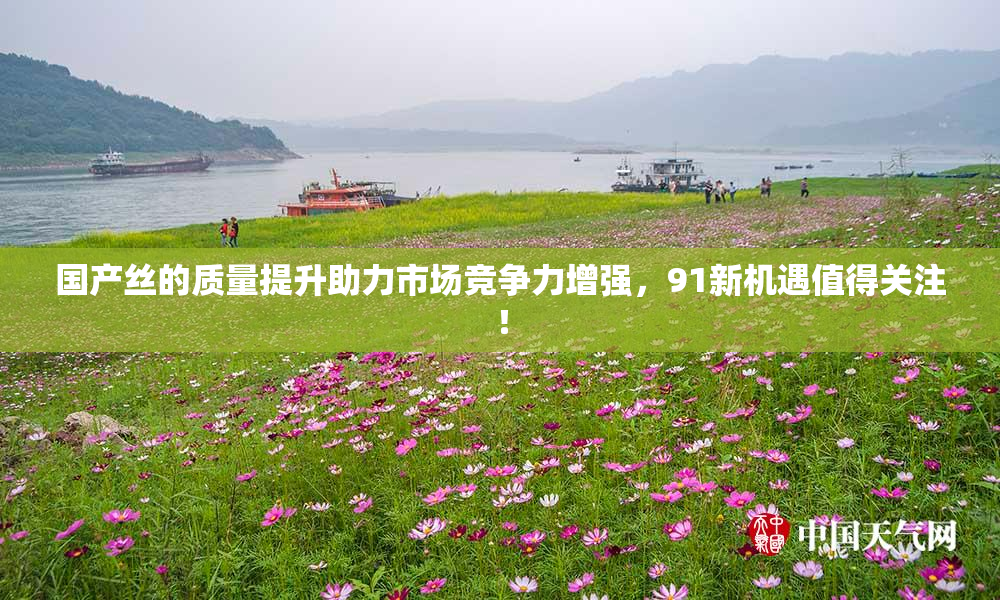 国产丝的质量提升助力市场竞争力增强，91新机遇值得关注！