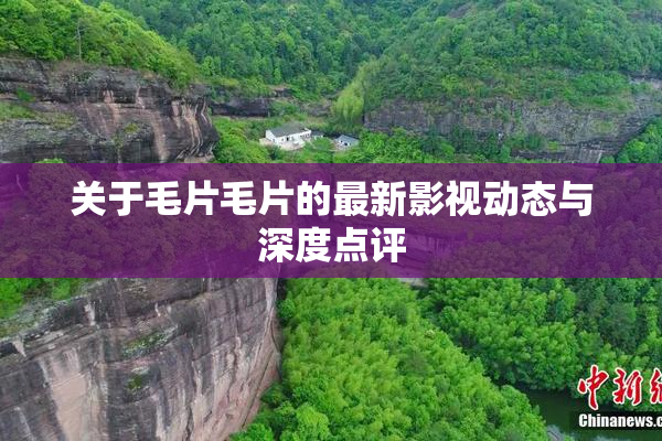 关于毛片毛片的最新影视动态与深度点评