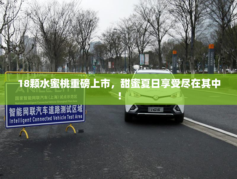 18颗水蜜桃重磅上市，甜蜜夏日享受尽在其中！