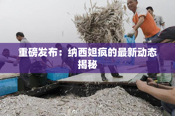 重磅发布：纳西妲疯的最新动态揭秘