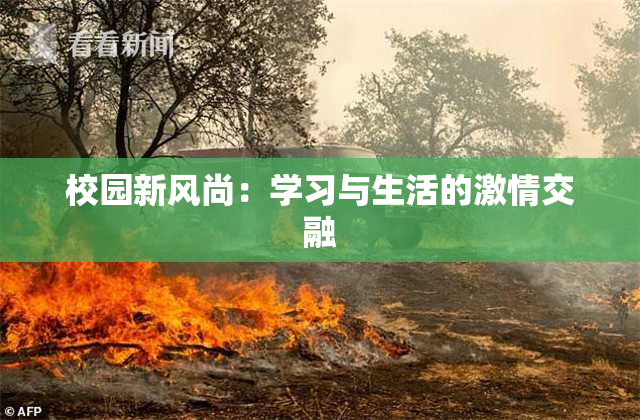 校园新风尚：学习与生活的激情交融