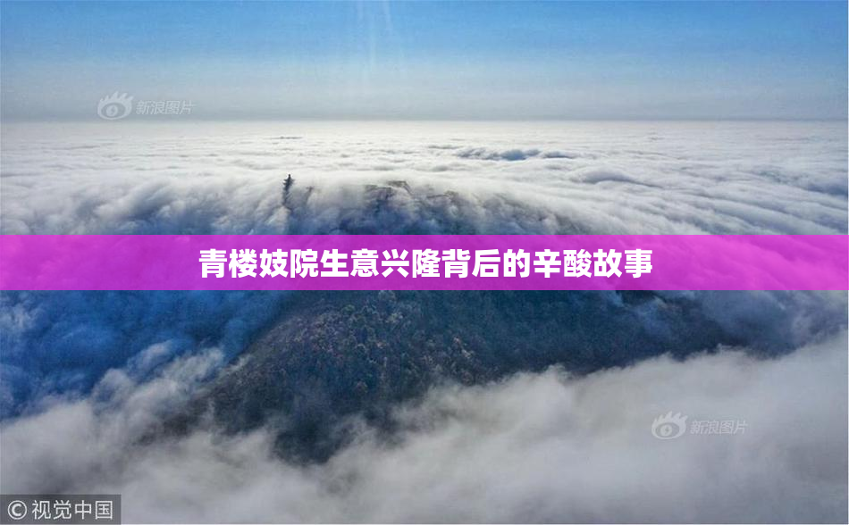 青楼妓院生意兴隆背后的辛酸故事