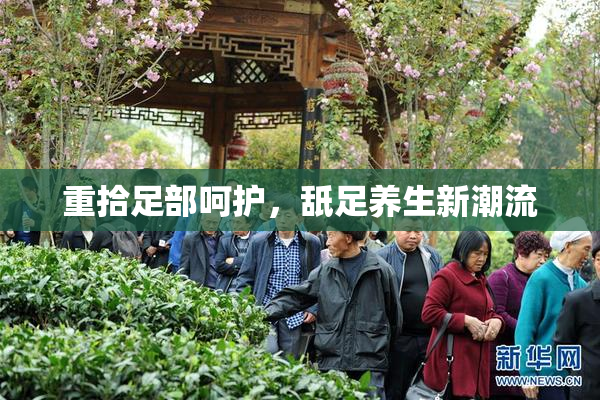 重拾足部呵护，舐足养生新潮流