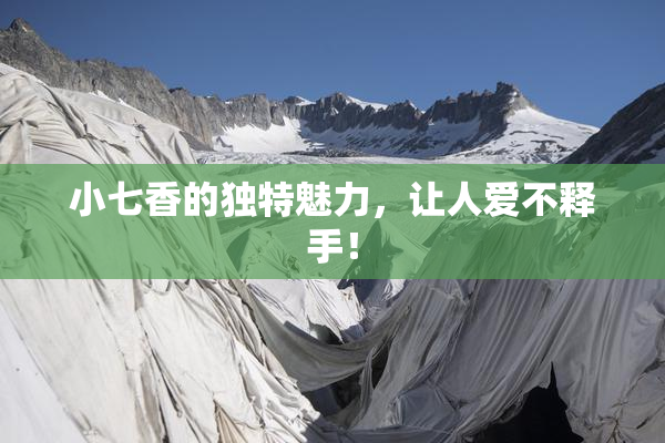 小七香的独特魅力，让人爱不释手！
