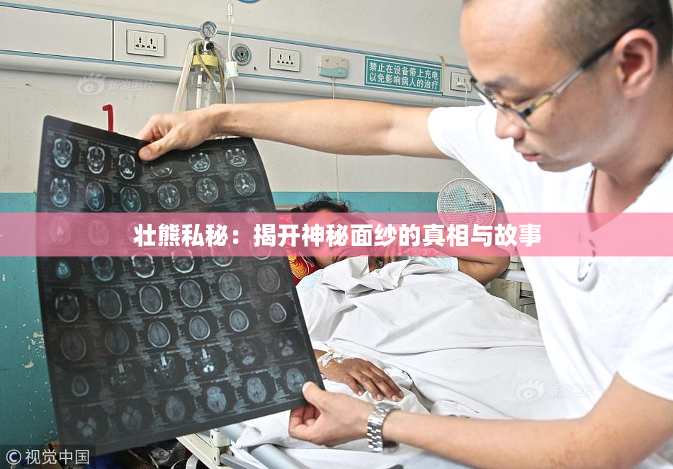壮熊私秘：揭开神秘面纱的真相与故事