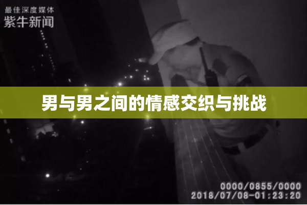男与男之间的情感交织与挑战