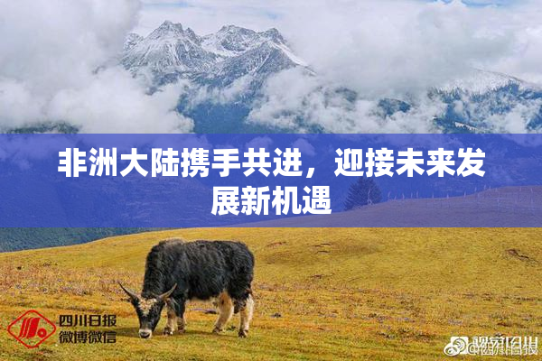 非洲大陆携手共进，迎接未来发展新机遇