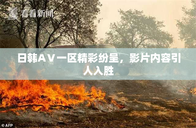 日韩AⅤ一区精彩纷呈，影片内容引人入胜