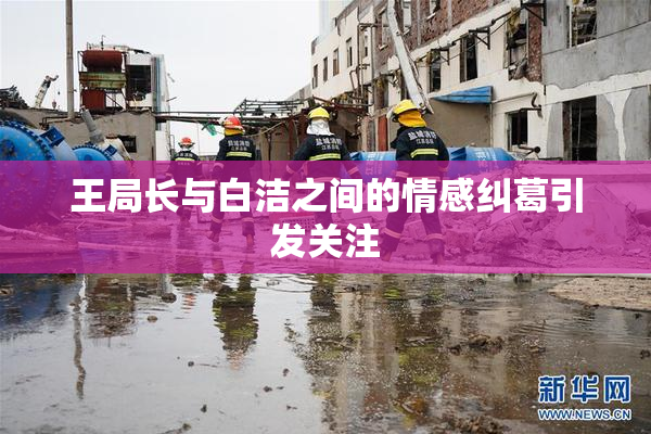 王局长与白洁之间的情感纠葛引发关注