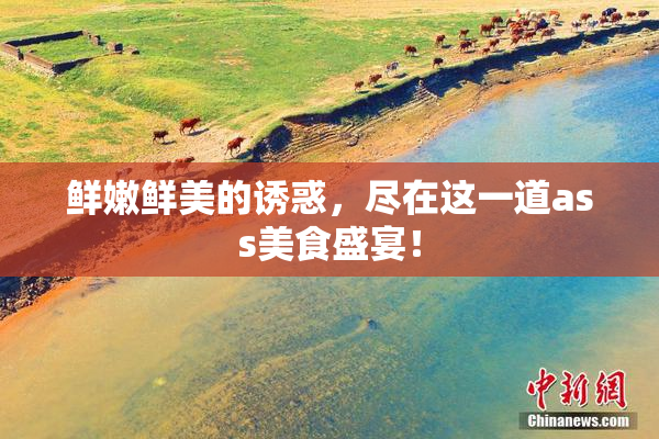 鲜嫩鲜美的诱惑，尽在这一道ass美食盛宴！