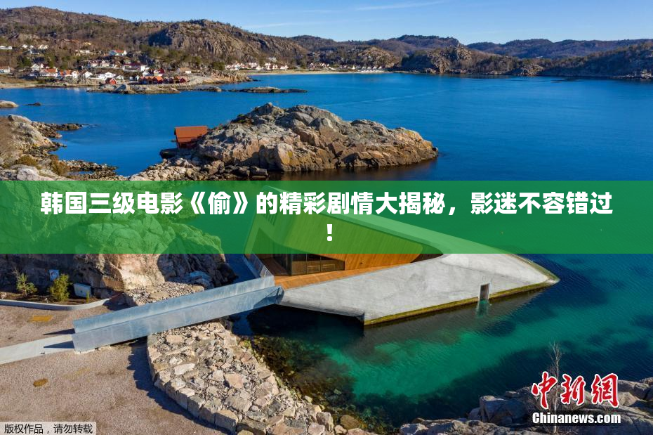 韩国三级电影《偷》的精彩剧情大揭秘，影迷不容错过！