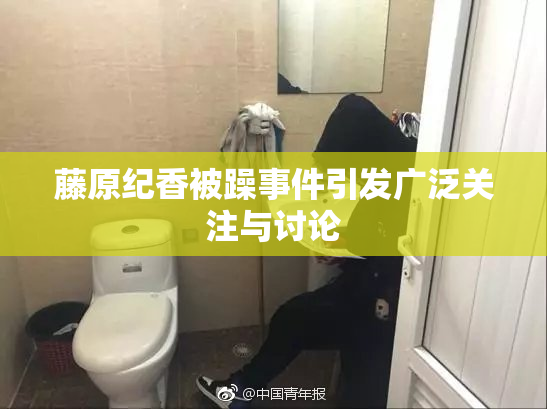 藤原纪香被躁事件引发广泛关注与讨论