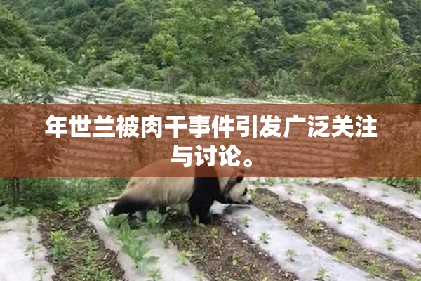 年世兰被肉干事件引发广泛关注与讨论。