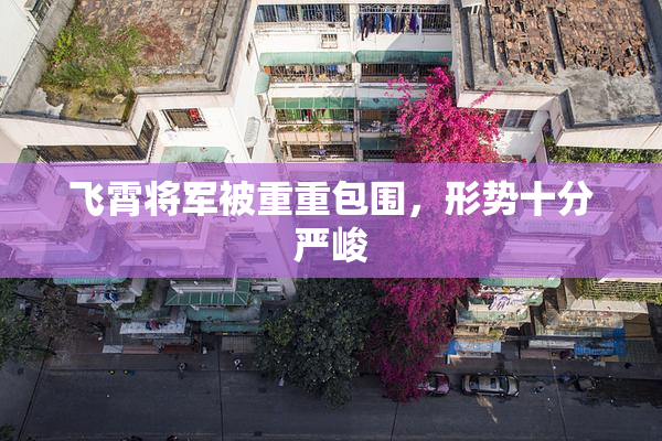 飞霄将军被重重包围，形势十分严峻