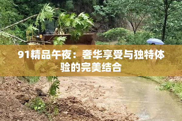 91精品午夜：奢华享受与独特体验的完美结合