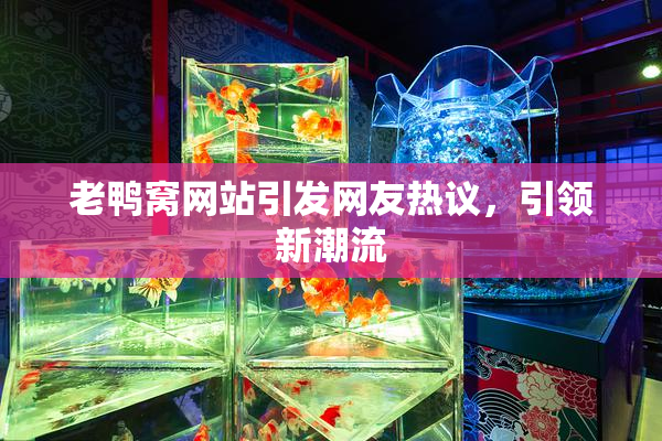 老鸭窝网站引发网友热议，引领新潮流