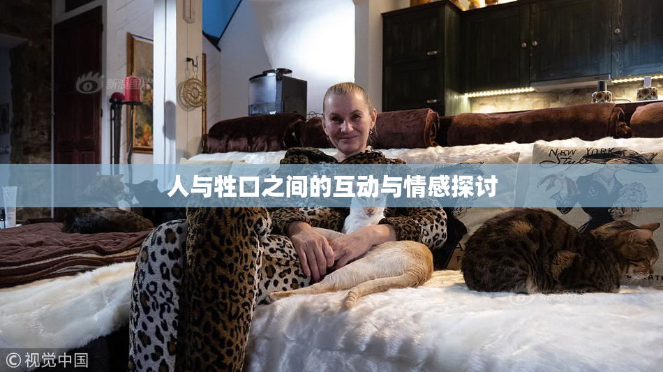 人与牲口之间的互动与情感探讨