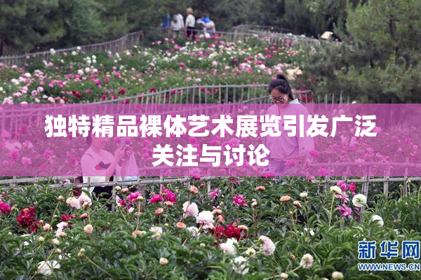 独特精品裸体艺术展览引发广泛关注与讨论