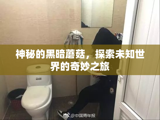 神秘的黑暗蘑菇，探索未知世界的奇妙之旅