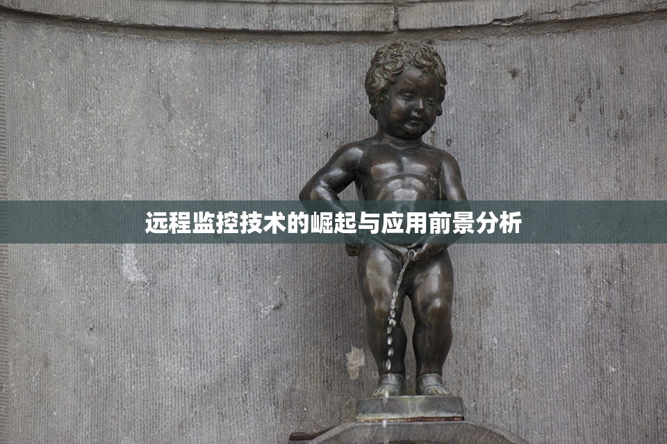 远程监控技术的崛起与应用前景分析