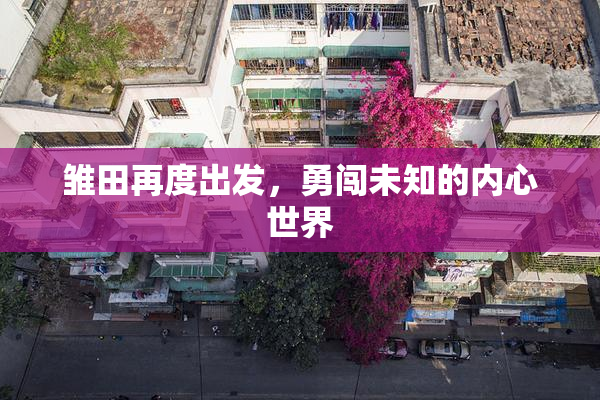雏田再度出发，勇闯未知的内心世界