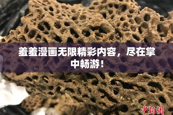 羞羞漫画无限精彩内容，尽在掌中畅游！