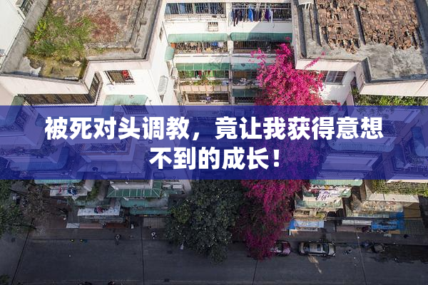 被死对头调教，竟让我获得意想不到的成长！