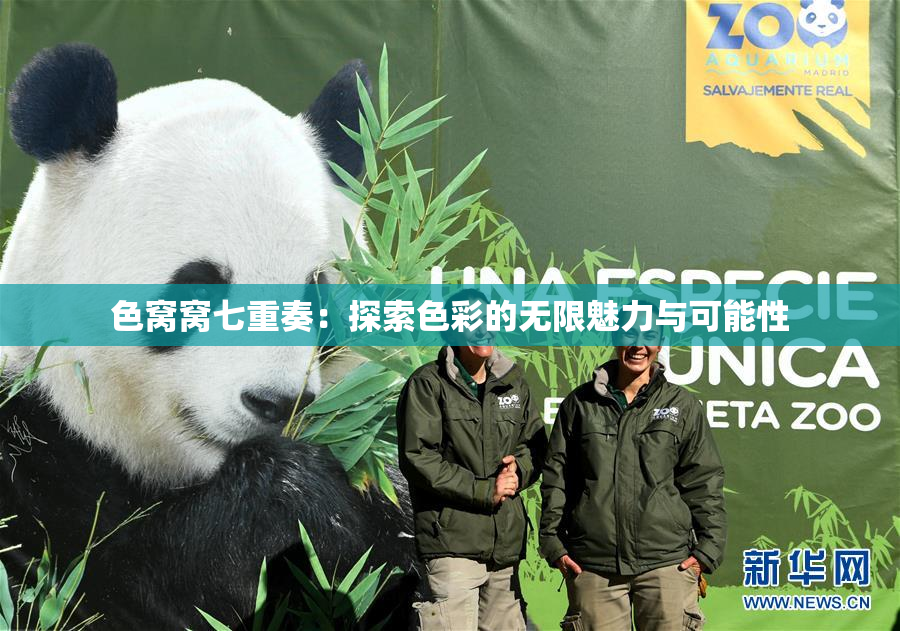 色窝窝七重奏：探索色彩的无限魅力与可能性