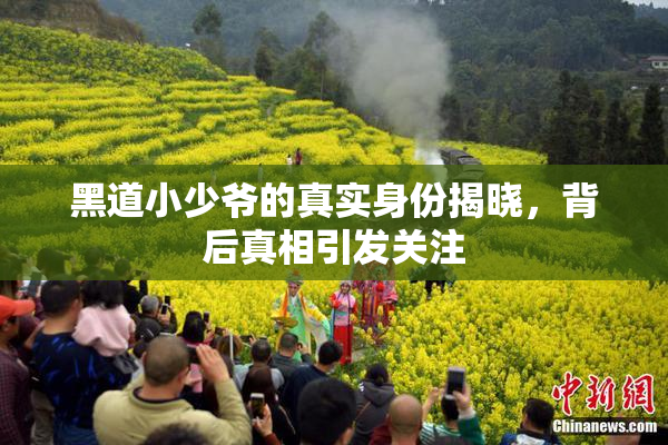 黑道小少爷的真实身份揭晓，背后真相引发关注