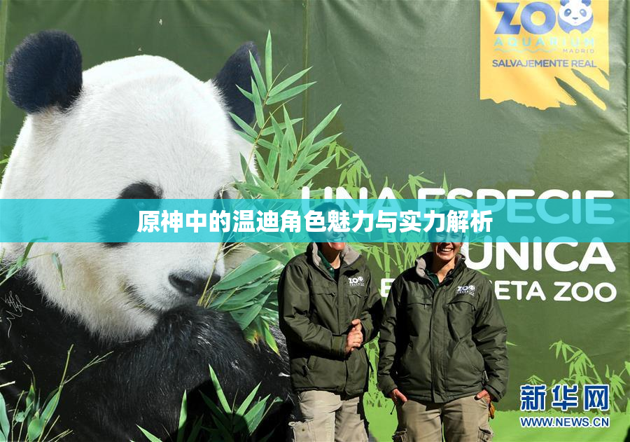 原神中的温迪角色魅力与实力解析