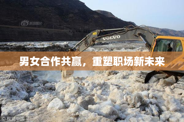 男女合作共赢，重塑职场新未来