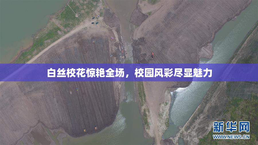 白丝校花惊艳全场，校园风彩尽显魅力