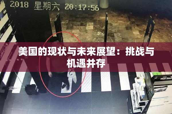 美国的现状与未来展望：挑战与机遇并存