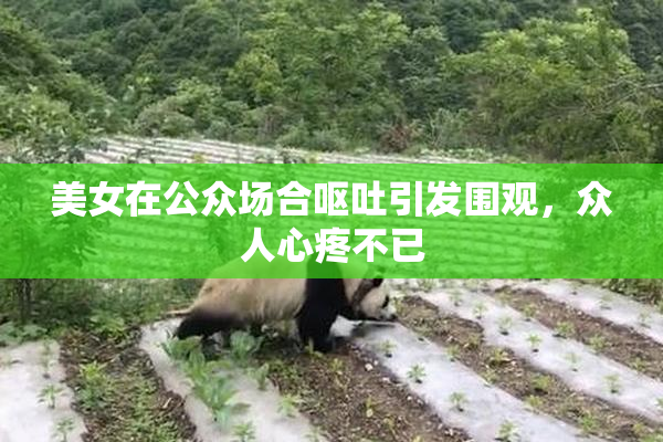 美女在公众场合呕吐引发围观，众人心疼不已