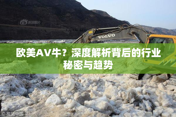 欧美AV牛？深度解析背后的行业秘密与趋势