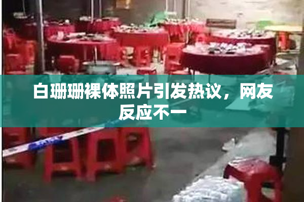 白珊珊裸体照片引发热议，网友反应不一