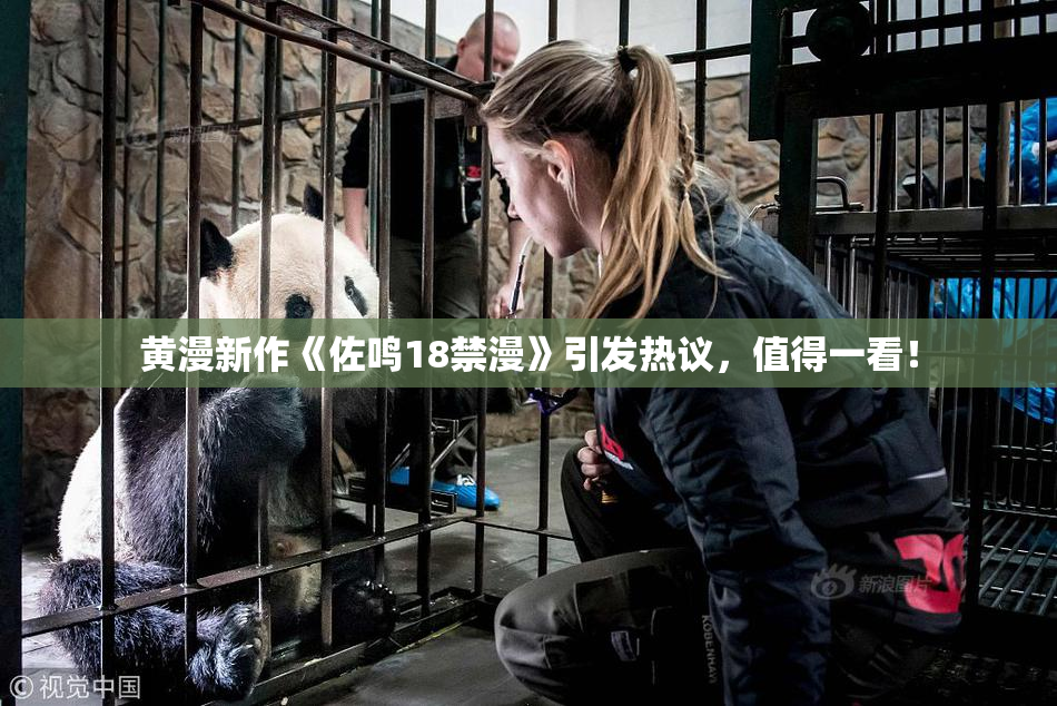 黄漫新作《佐鸣18禁漫》引发热议，值得一看！